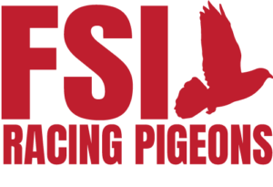 FSI Racing Pigeons